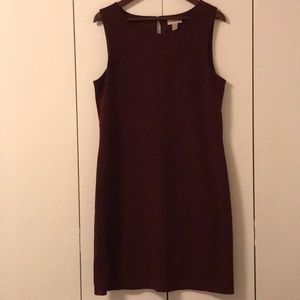 LOFT maroon knit dress